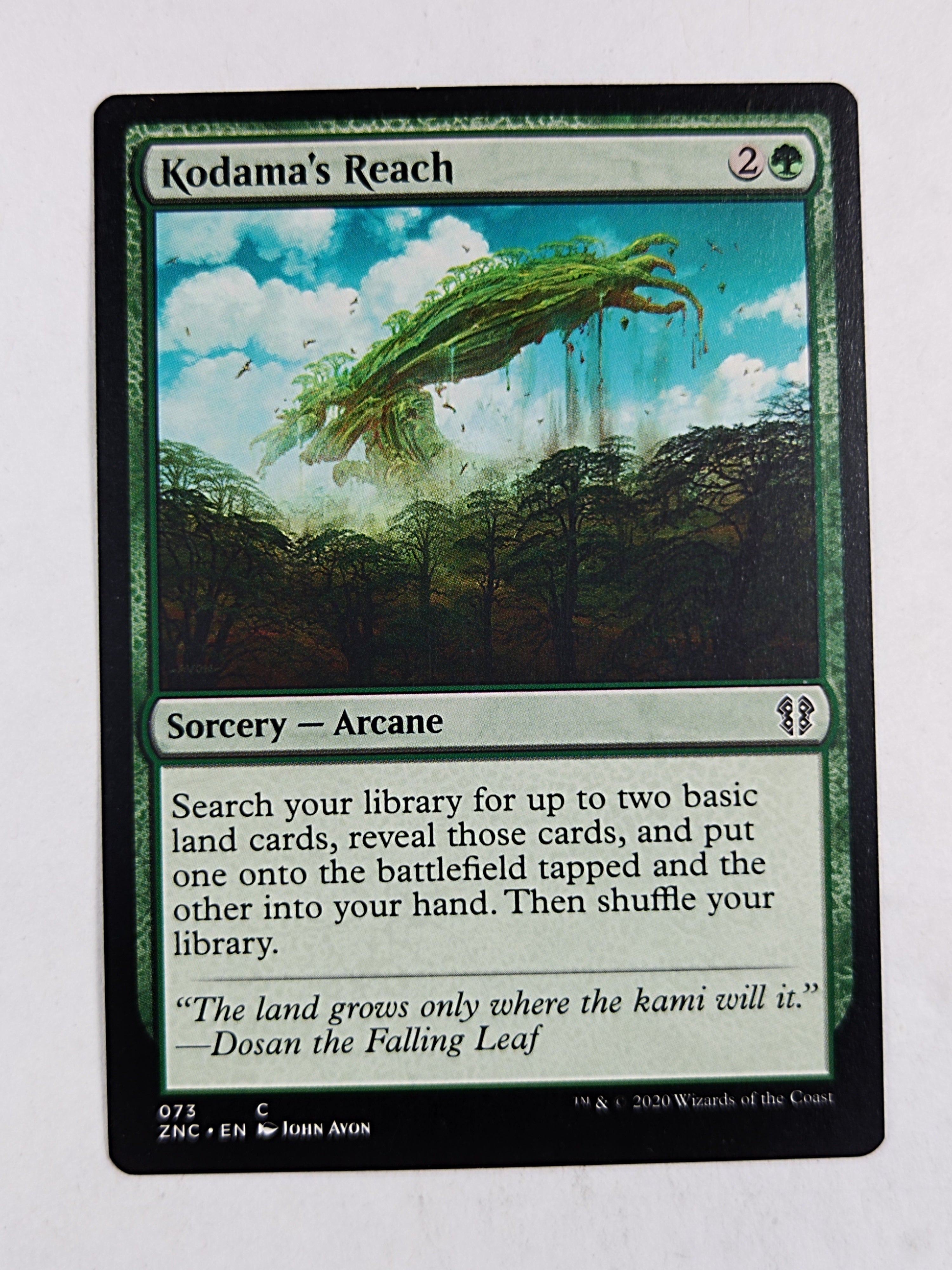 Kodama's Reach