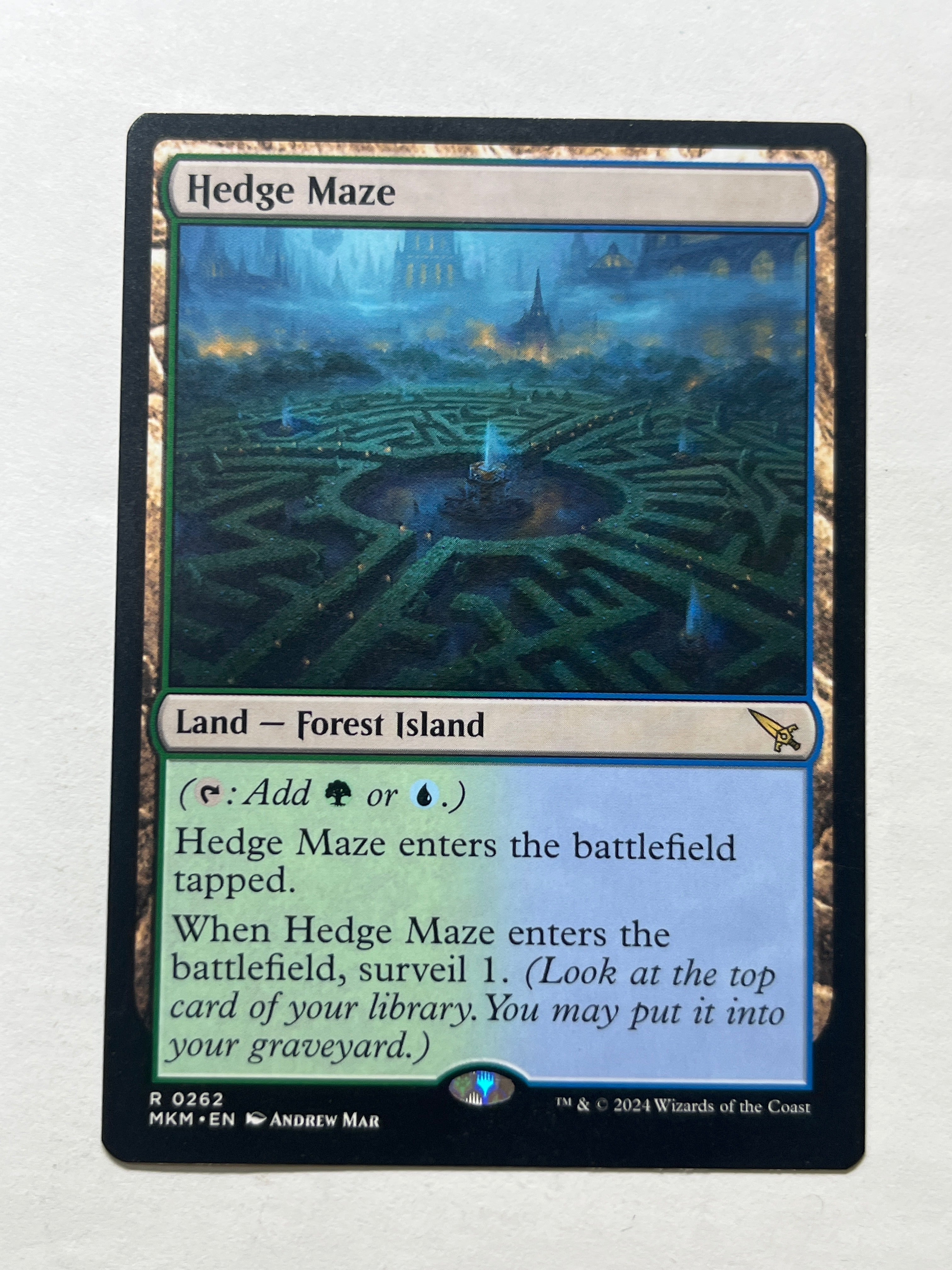 Hedge Maze