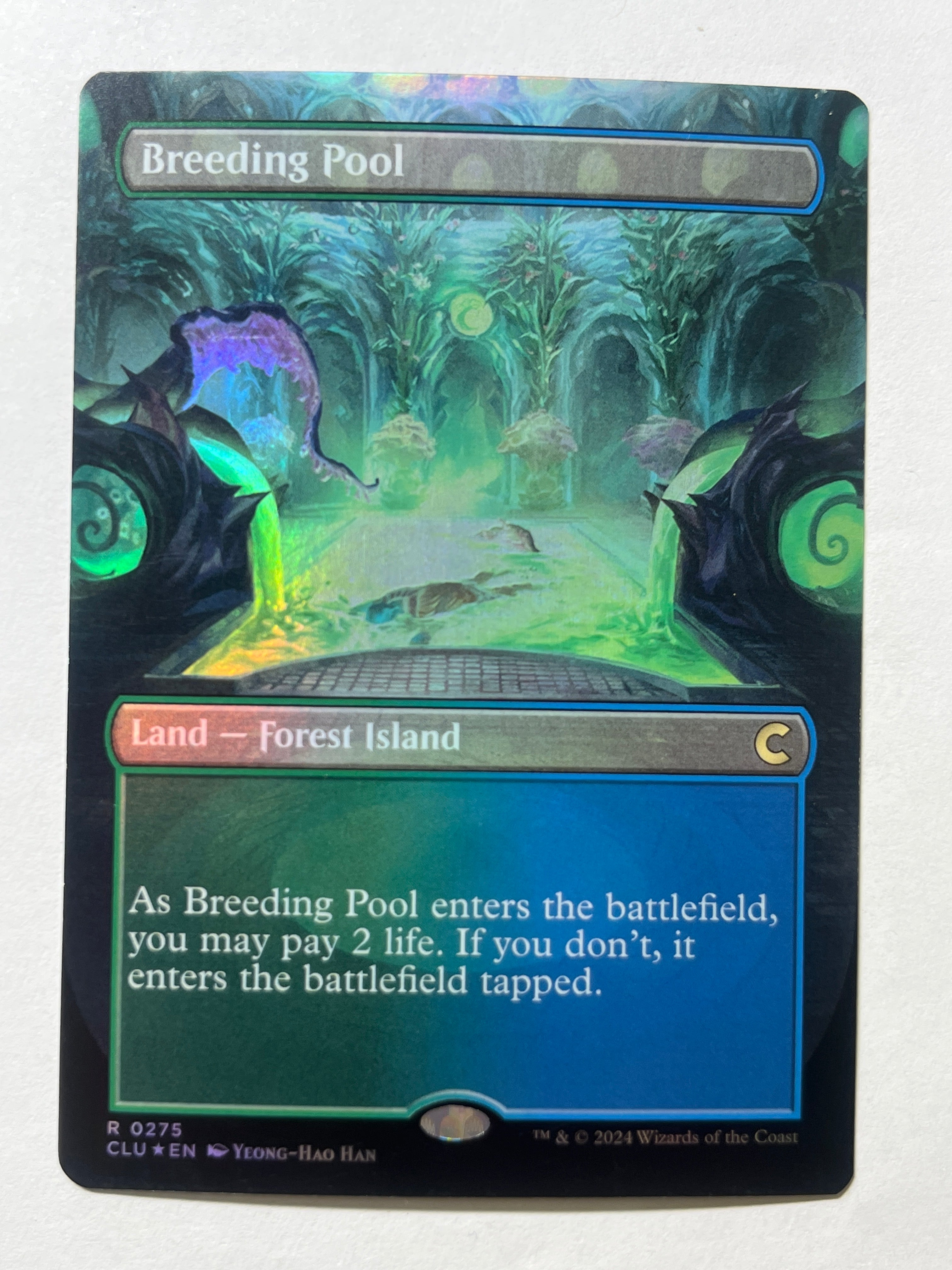 Breeding Pool Borderless