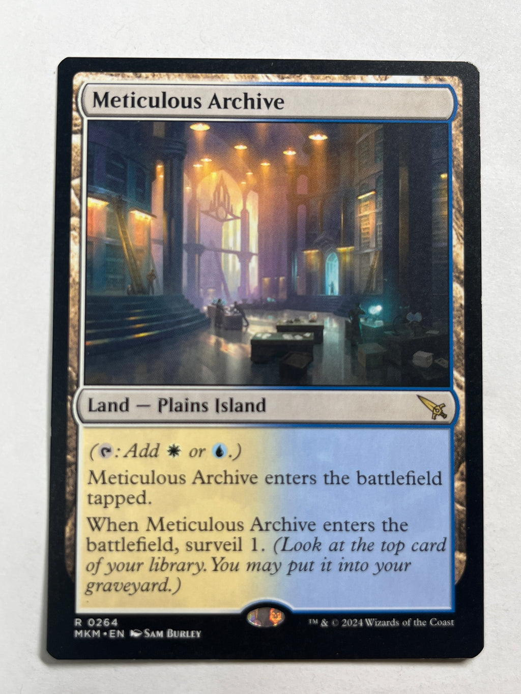 Meticulous Archive