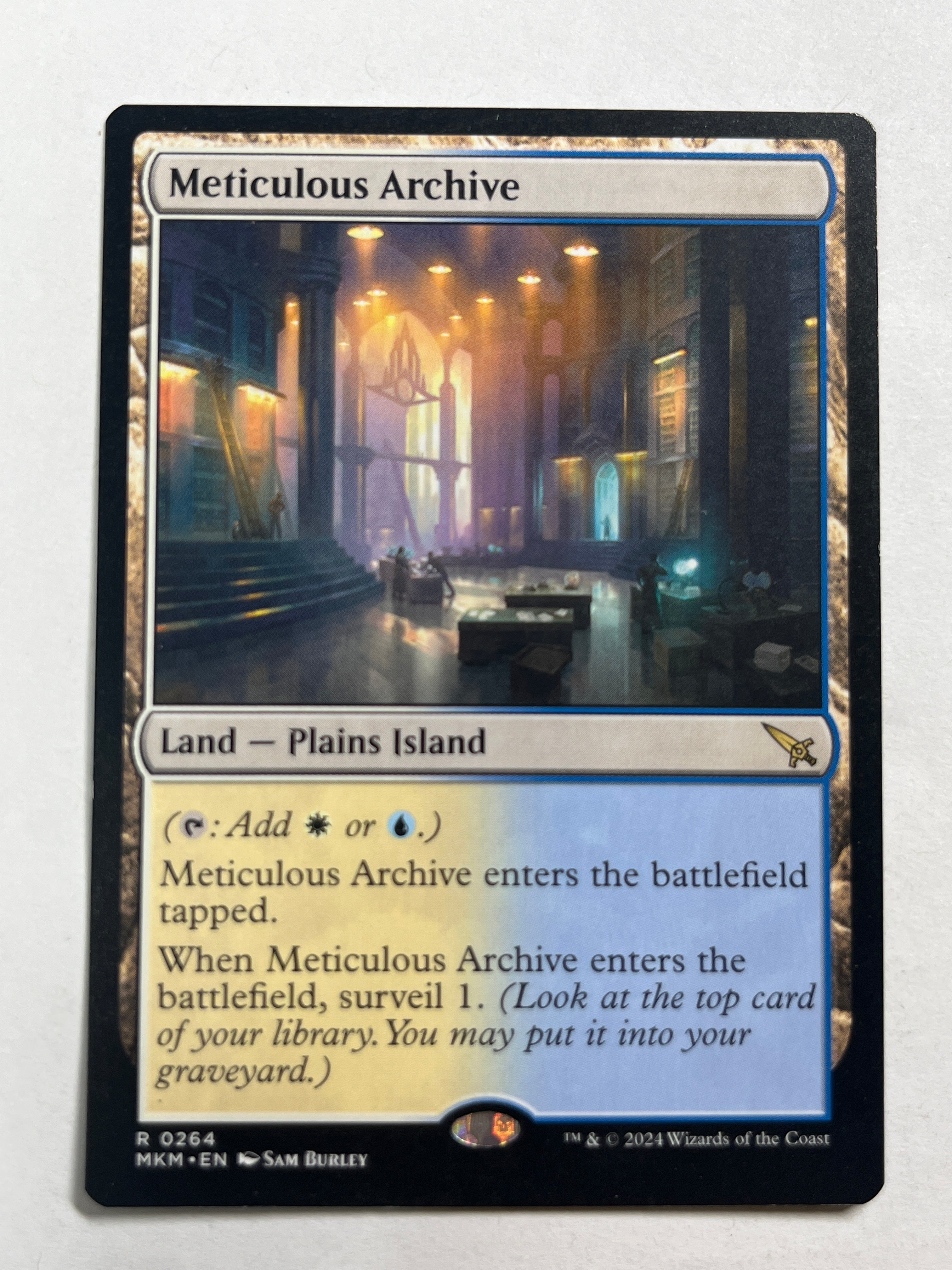 Meticulous Archive
