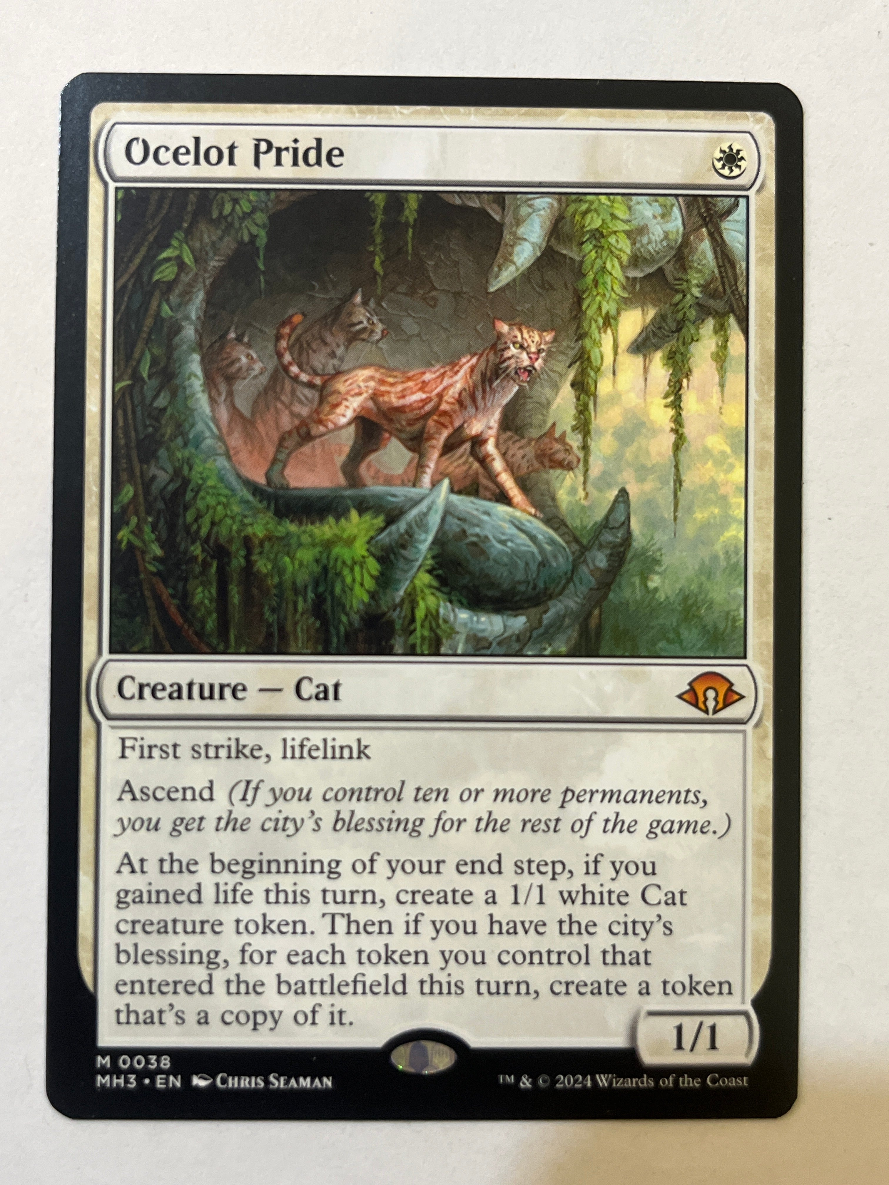 Ocelot Pride
