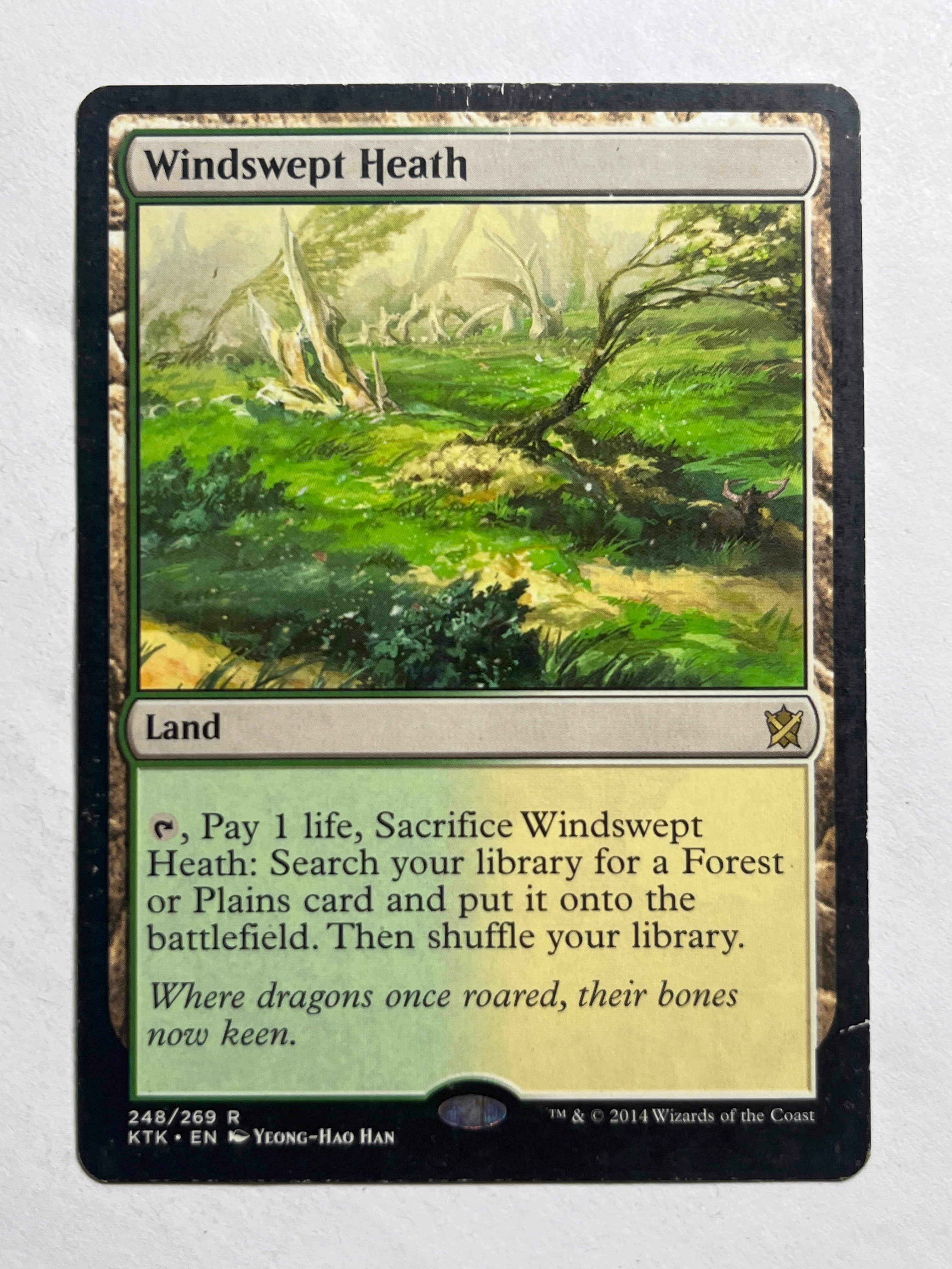 Windswept Heath