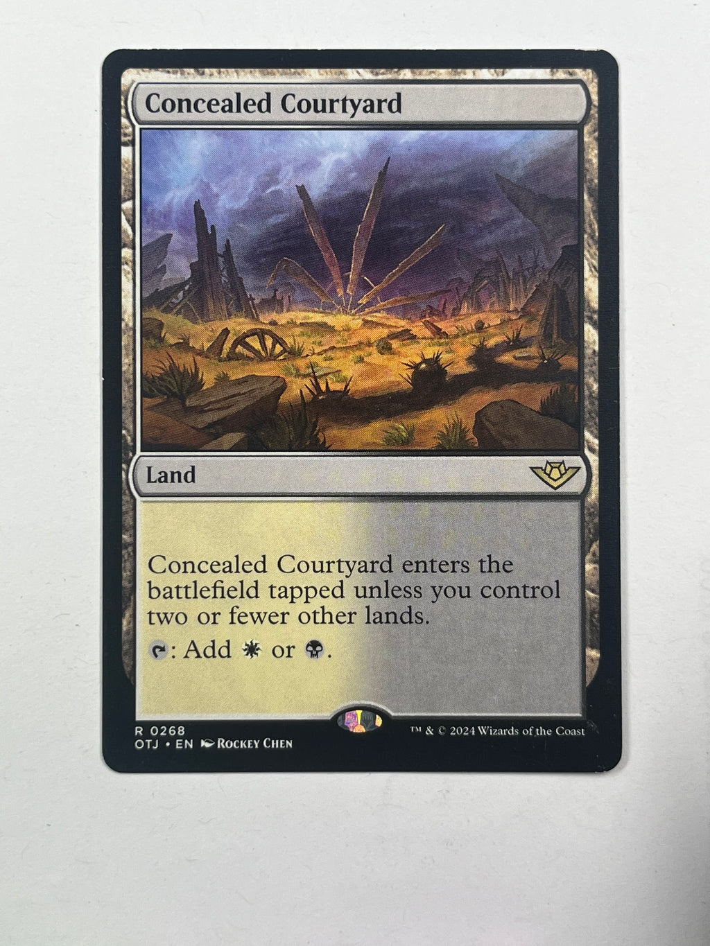 Concealed Courtyard