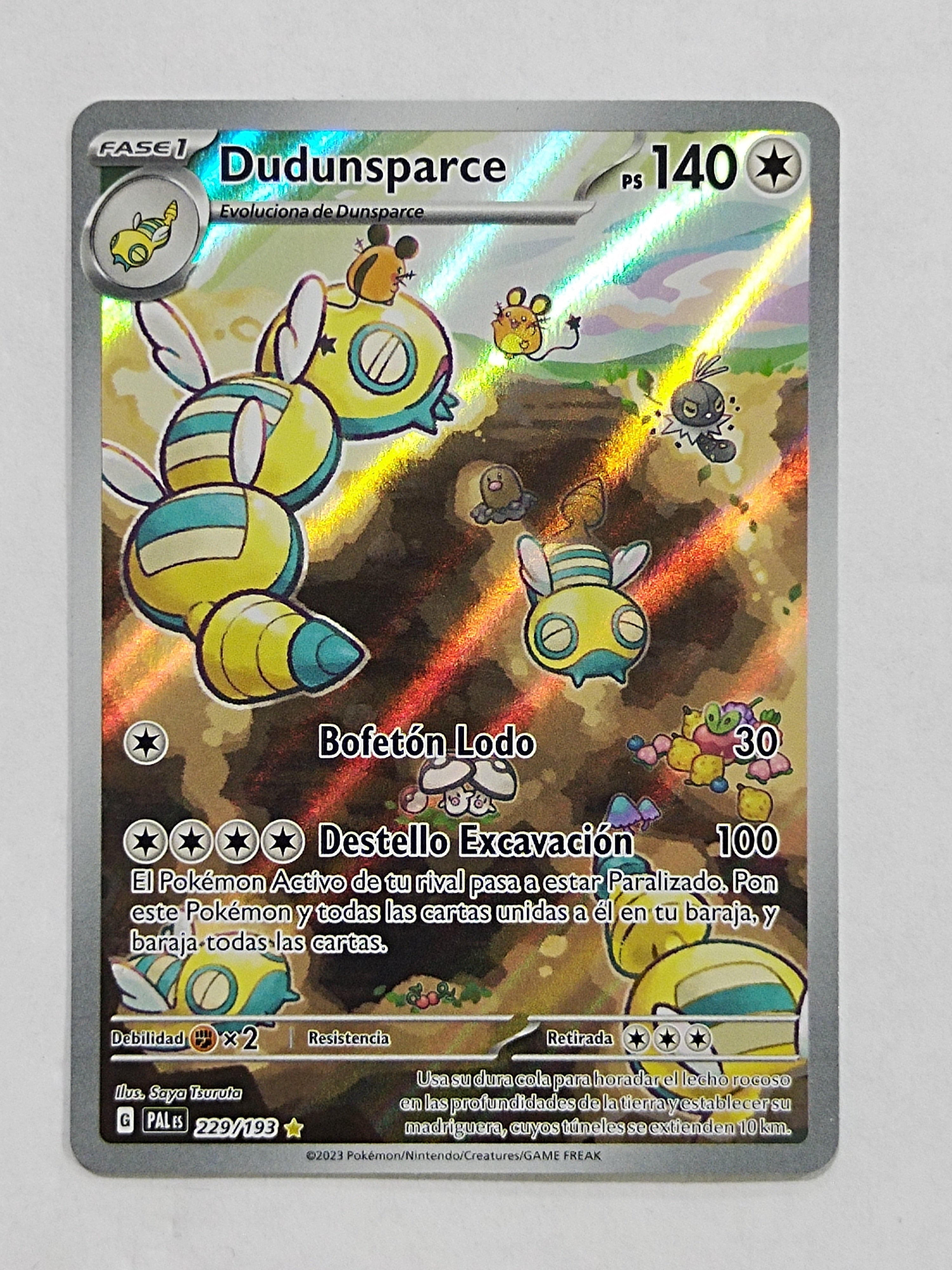 Dudunsparce 229/193