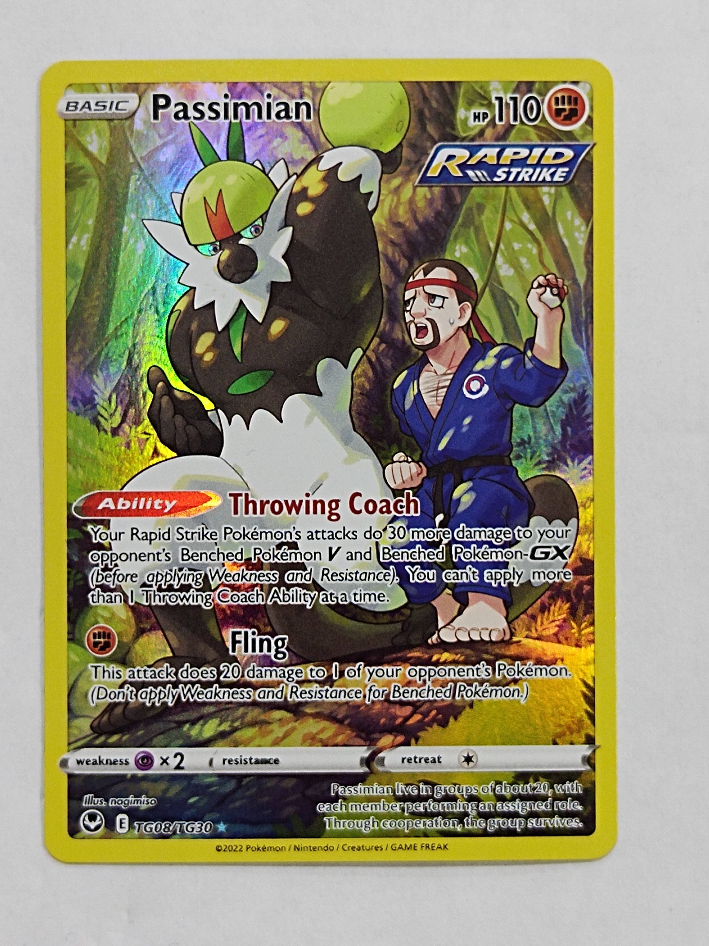 Passimian TG08