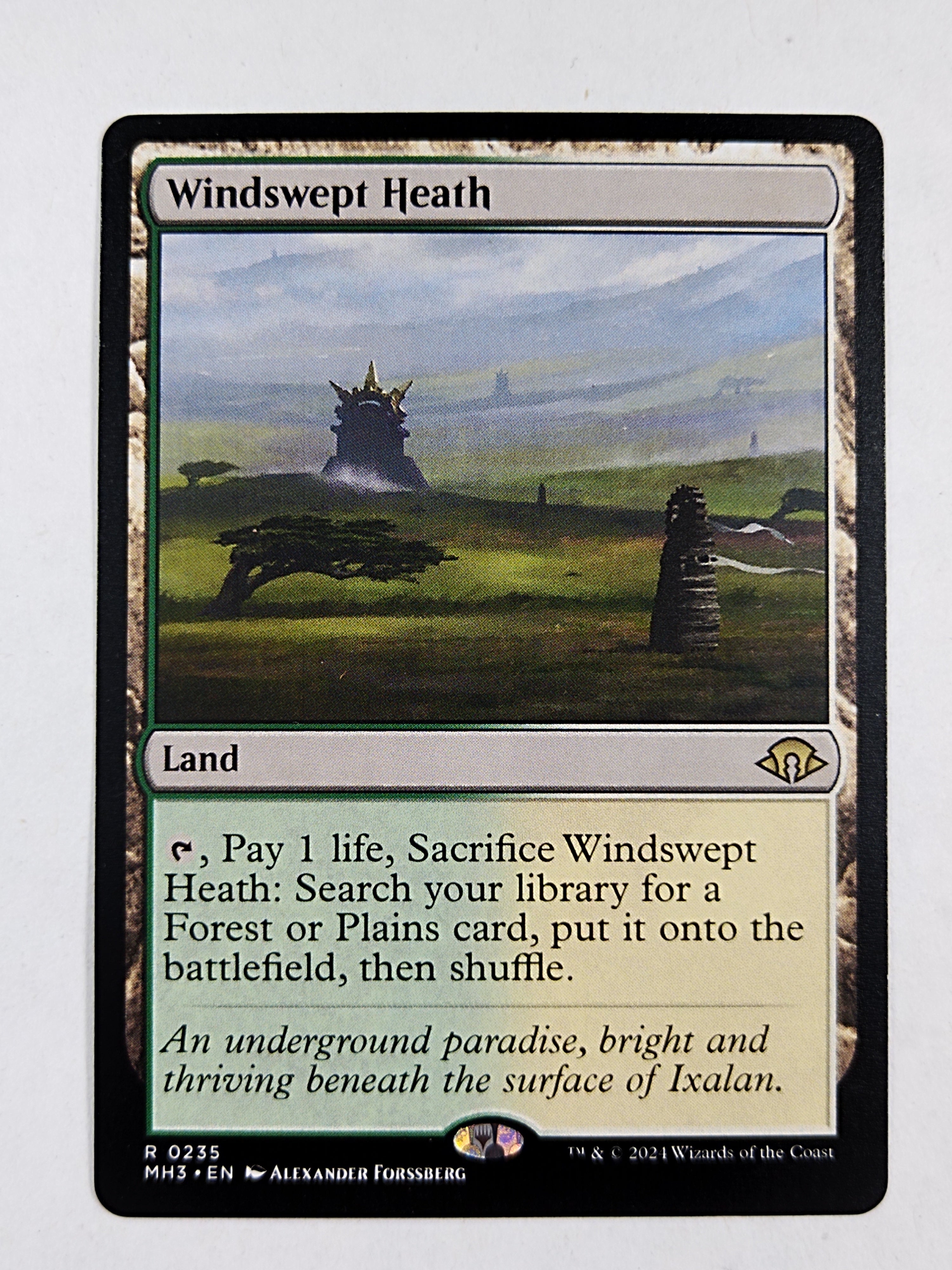 Windswept Heath