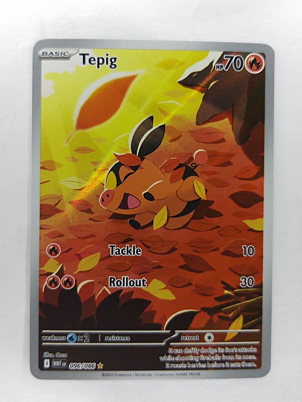 Tepig 96/86 white flare