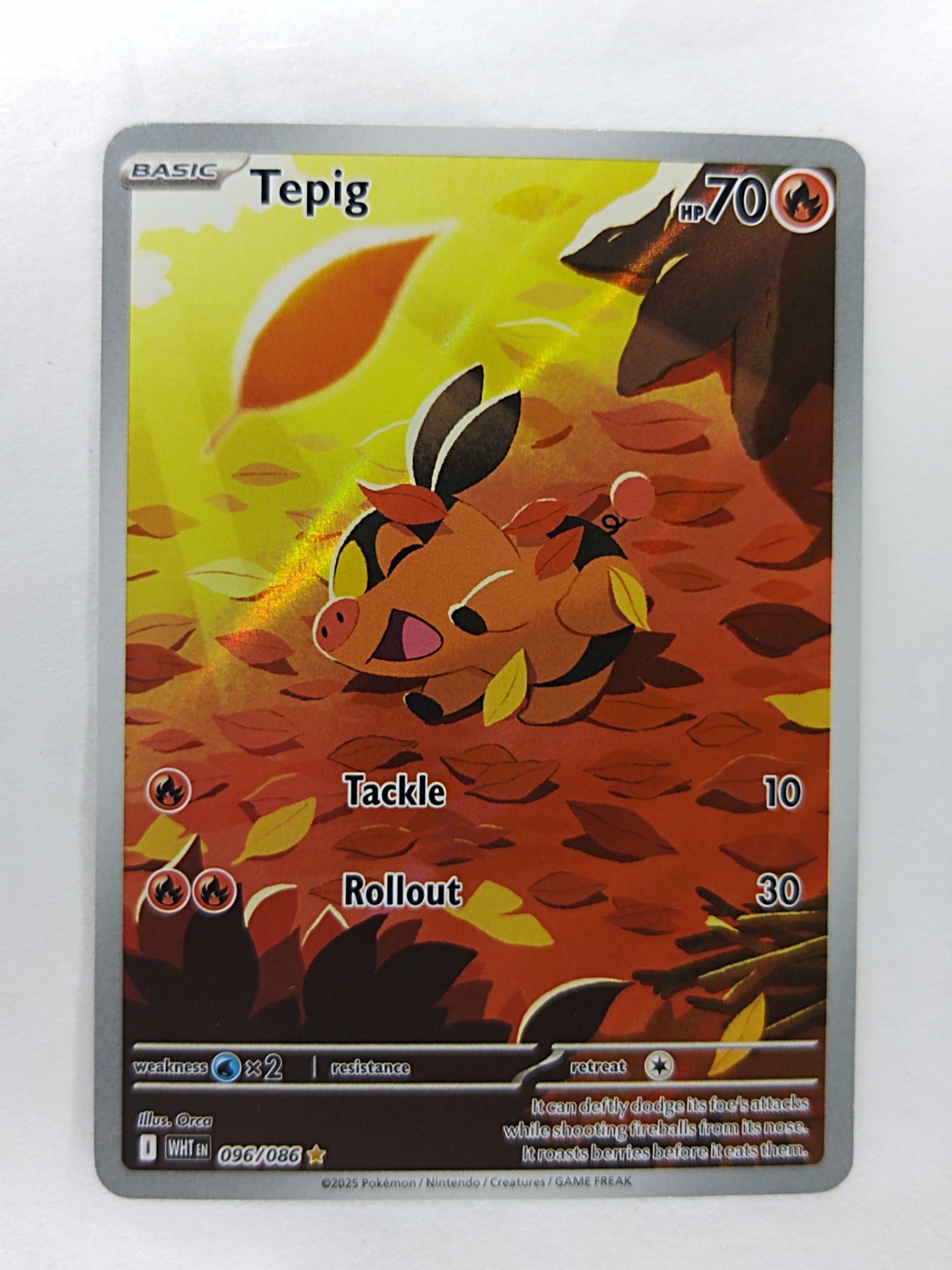 Tepig 96/86 white flare